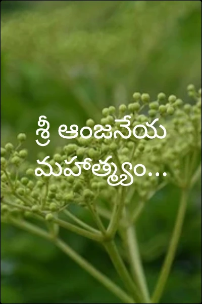 శ్రీ ఆంజనేయ మహాత్మ్యం...