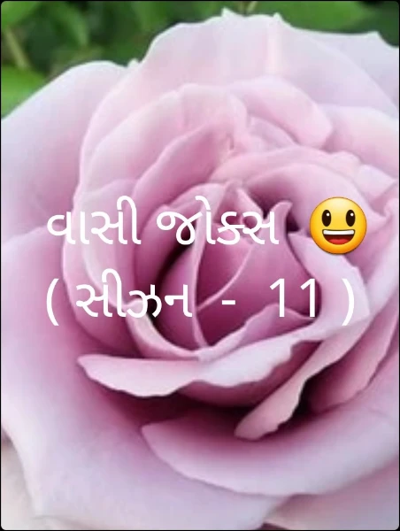 વાસી જોક્સ  😃 ( સીઝન  -  11 )