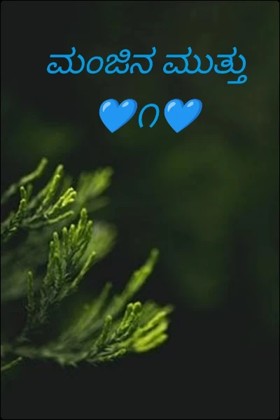 ಮಂಜಿನ ಮುತ್ತು💙೧💙