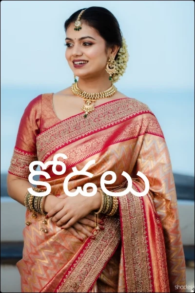 కోడలు