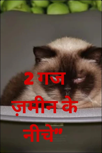 2 गज ज़मीन के नीचे”