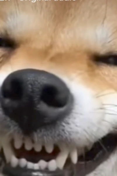 ਕੁਝ ਮੁਹਾਵਰੇ,,,,,, ❤️