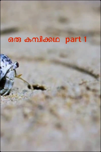 ഒരു കമ്പിക്കഥ  part 1