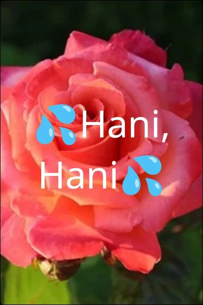 💦Hani, Hani💦