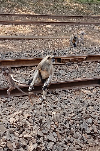 સલાહ સુચન 24/7