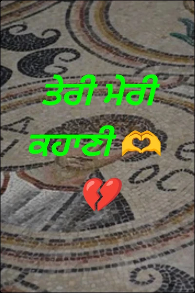 ਤੇਰੀ ਮੇਰੀ ਕਹਾਣੀ 🫶💔