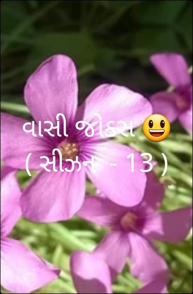 વાસી જોક્સ 😃 ( સીઝન  - 13 )