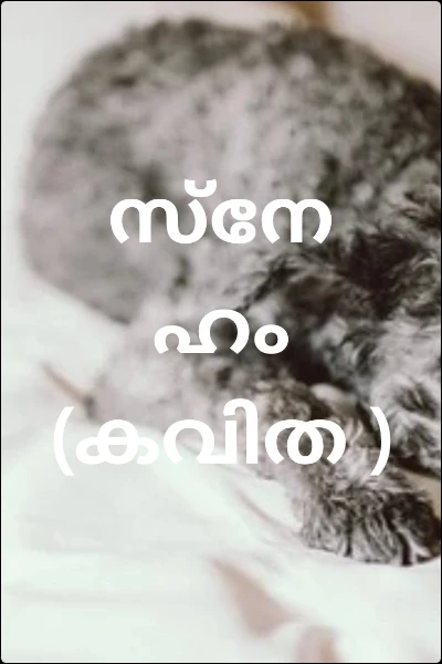 സ്നേഹം (കവിത )