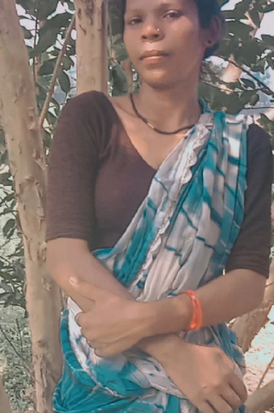 Paithani saree