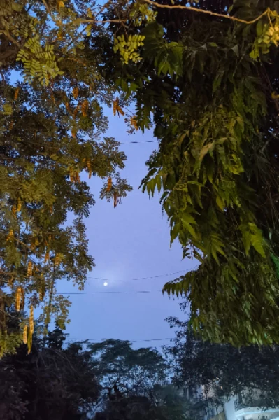 संप्रभुता (उपन्यास)