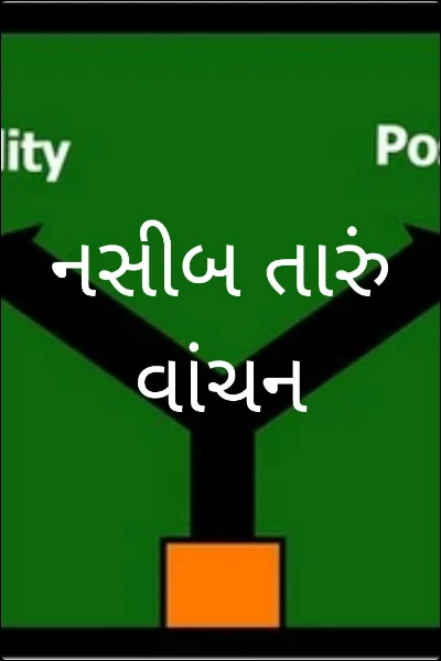 નસીબ તારું વાંચન