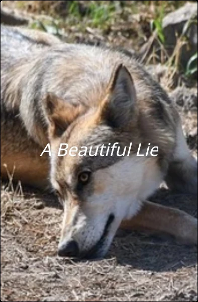 A Beautiful Lie