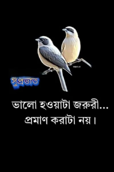 গৃহ শান্তি ( প্রতিলিপি আওয়ার্ড সিজন টু)