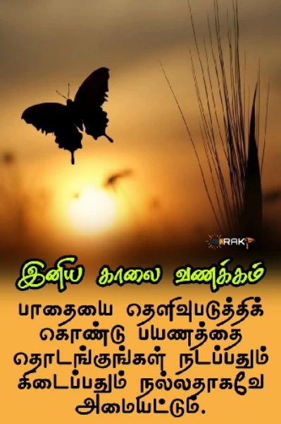 முட் புதர்கள்