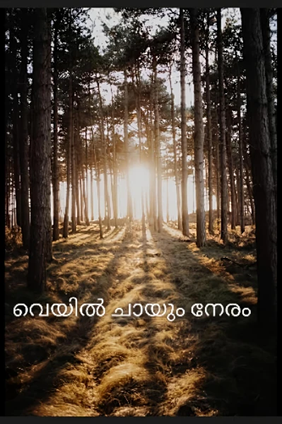 💫 വെയിൽ ചായും നേരം - 1
