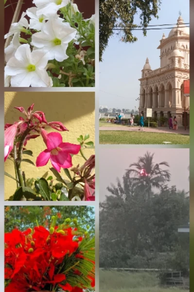 পড়ন্ত বিকেলে প্রথম পর্ব