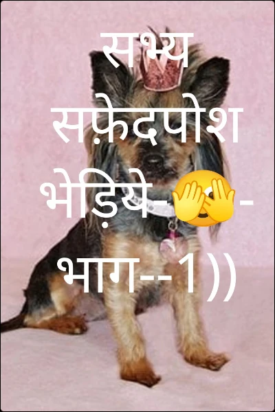 सभ्य सफ़ेदपोश भेड़िये-🫣-भाग--1))