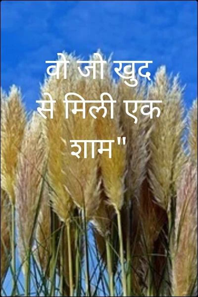 वो जो खुद से मिली एक शाम"