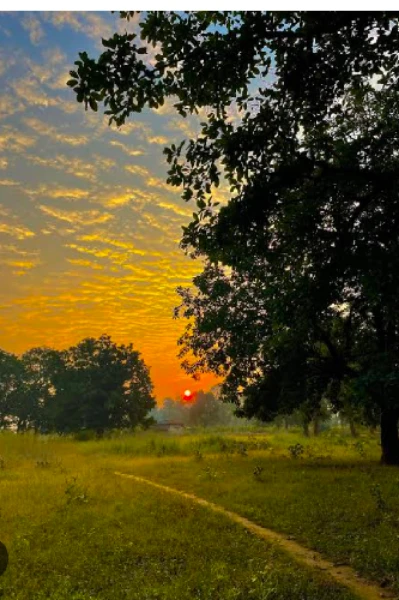 कविता