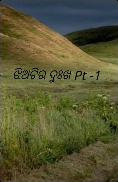ଝିଅଟିର ଦୁଃଖ😫💔 Pt -1