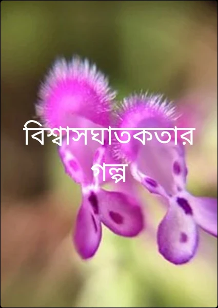 বিশ্বাসঘাতকতার গল্প