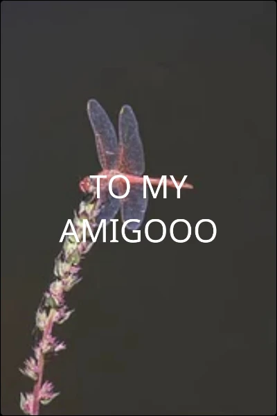TO MY AMIGOOO
