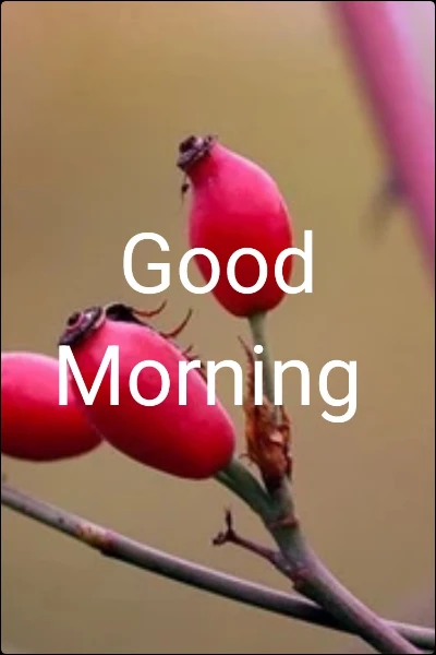 Good Morning