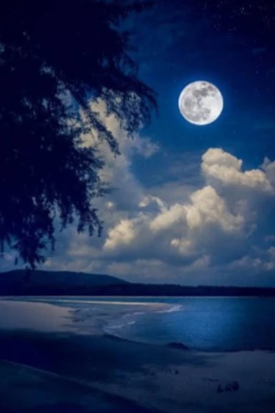தேன்நிலவே🌙