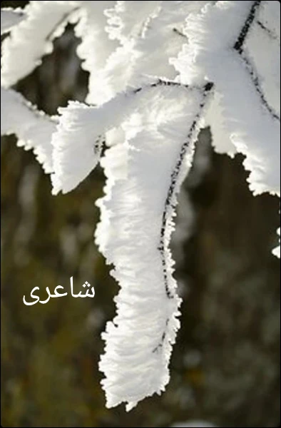 شاعری