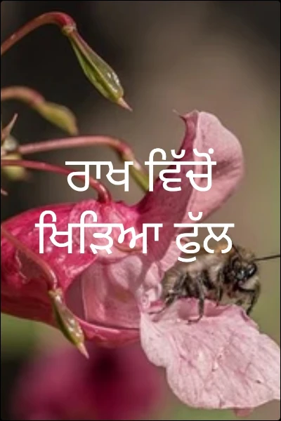 ਰਾਖ ਵਿੱਚੋਂ ਖਿੜਿਆ ਫੁੱਲ