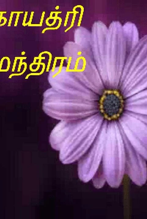 gayatri mandhiram (muzhuththoguppu)