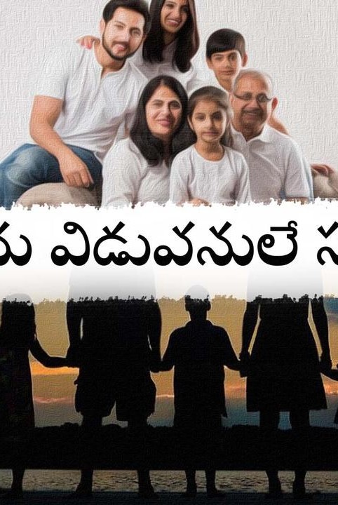 ninu viduvanule sakhi