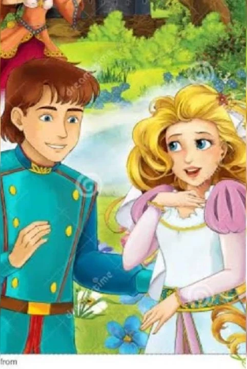 the story of a prince