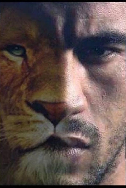 The Hidden Face