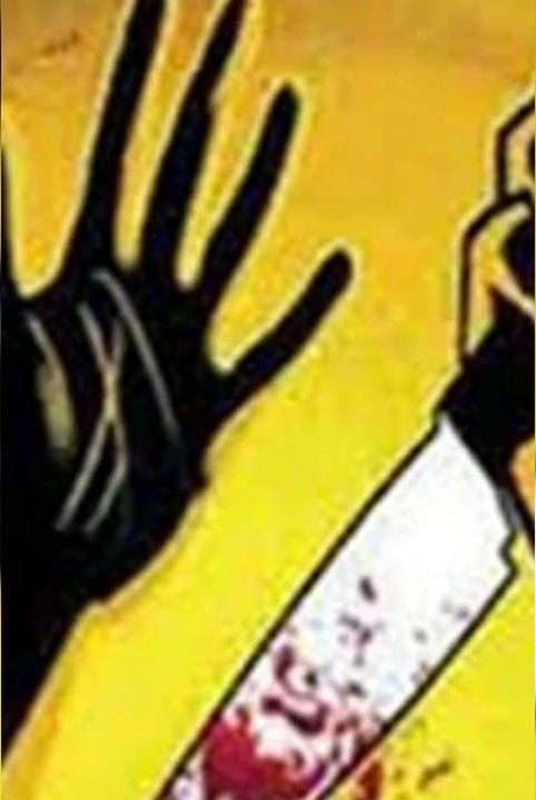 ஒரு புதிர் இரு கொலை ( துப்பறியும்செவன்ஸ்டார்ஸ்)