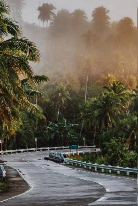 vendhu thanindha nandhavanam !!