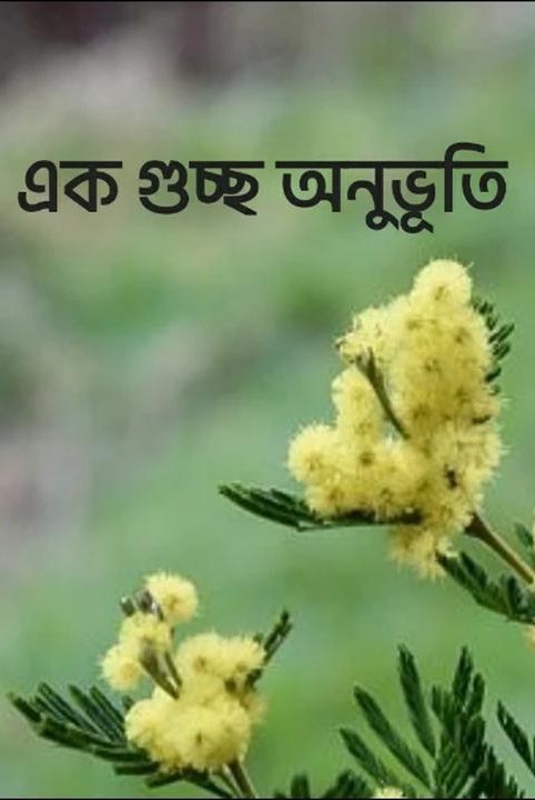 ek guchchh anubhuti