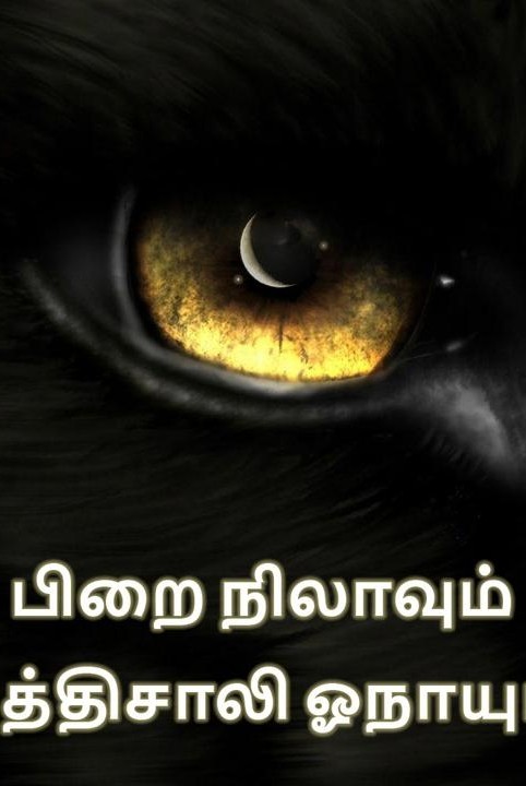 pirai nilaavum budhisaali onaayum
