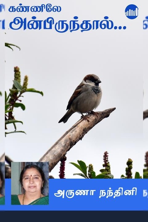 கண்ணிலே அன்பிருந்தால்