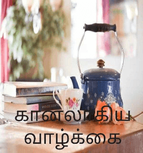 கானலாகிய வாழ்க்கை