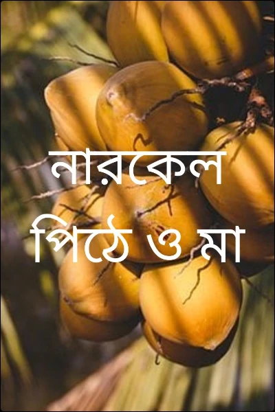নারকেল পিঠে ও মা
