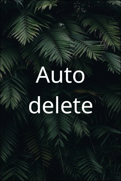 Auto delete