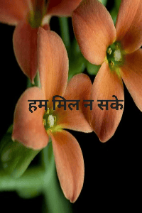 हम मिल न सके