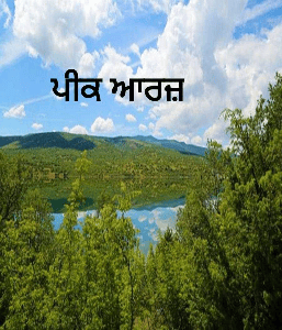 ਪੀਕ ਆਰਜ਼