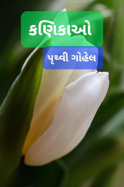 કણિકાઓ
