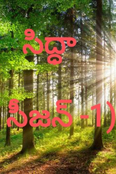 సిద్ధా ( సీజన్ 01)