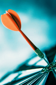 বিদিশার দিশা(অসামান্য লড়াইয়ের গল্প)