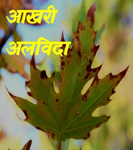 आखरी अलविदा