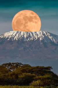 আফ্রিকায় হীরে চুরির রহস্য
পর্ব এক