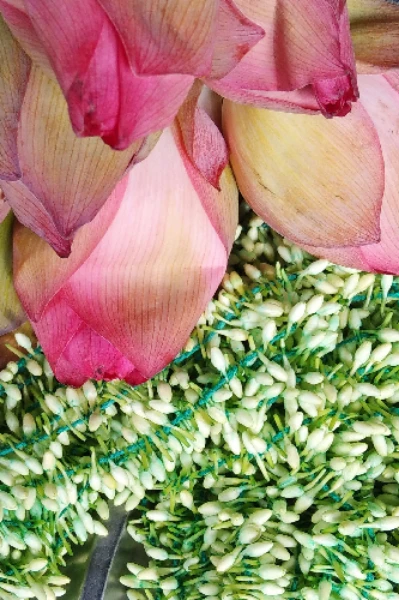 স্মৃতিকণা